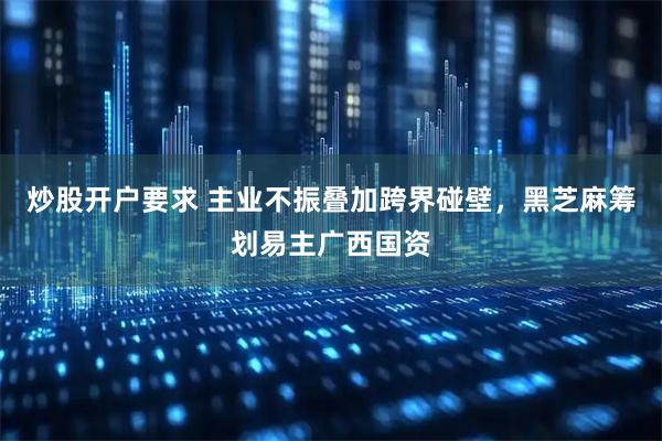 炒股开户要求 主业不振叠加跨界碰壁，黑芝麻筹划易主广西国资