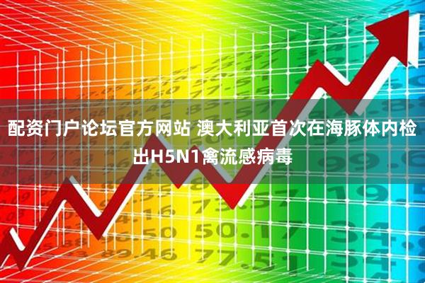 配资门户论坛官方网站 澳大利亚首次在海豚体内检出H5N1禽流感病毒
